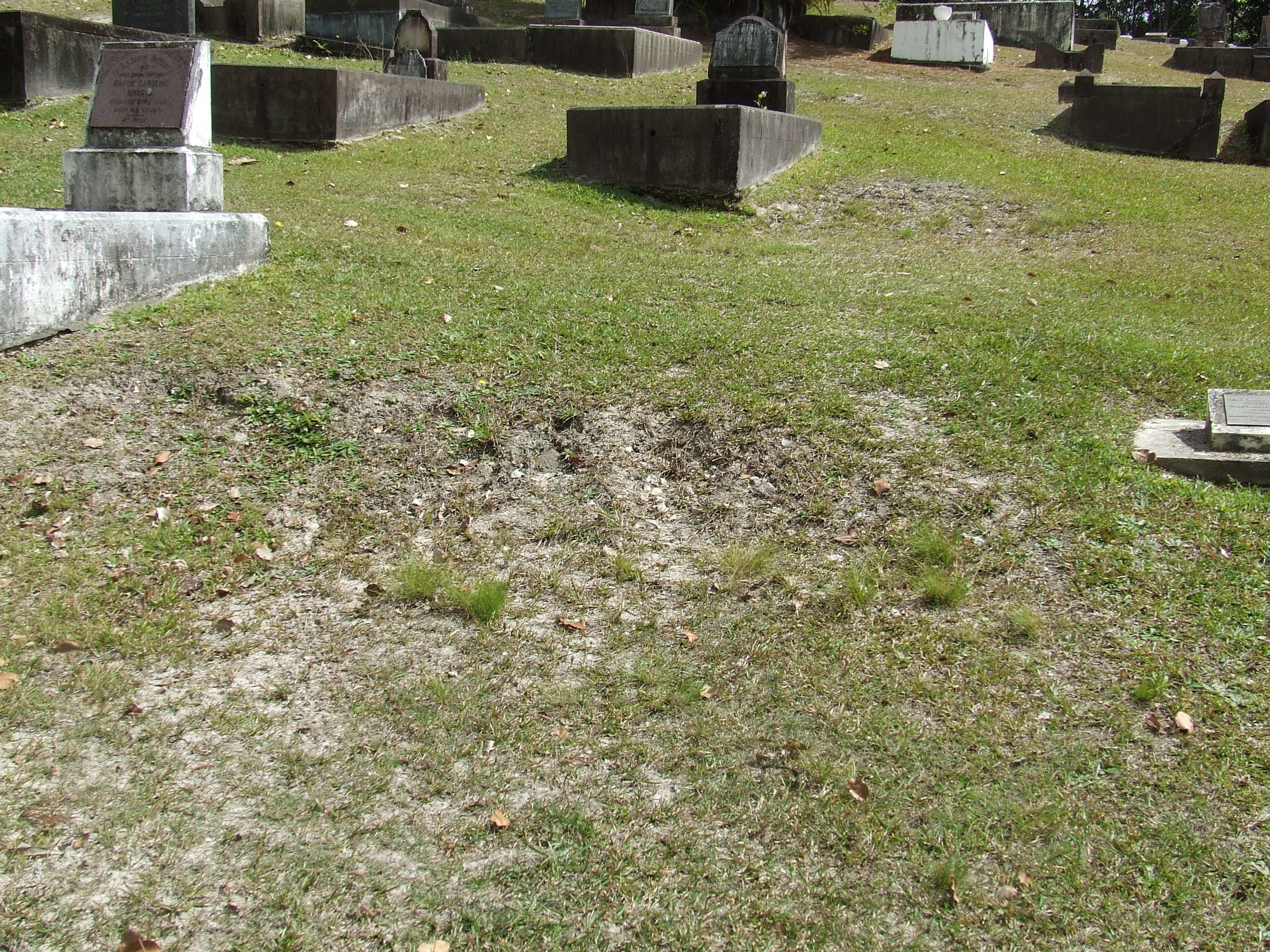 Photo of headstones/Roderick McLennan (d1922) & Margarets gravesite Nambour